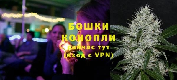 винт Белокуриха