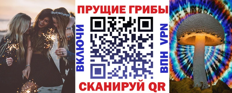 наркота  Ефремов  Псилоцибиновые грибы Cubensis 